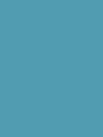 #529cb1 color image