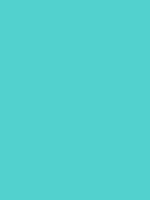 #52d1ce color image