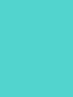 #52d4ce color image