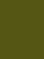 #555614 color image