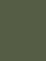 #555d44 color image