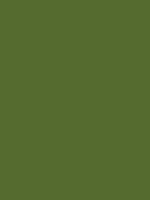 Olive Green / #bab86c hex color