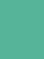 #57b498 color image