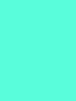 #58feda color image