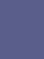 #5a5e8a color image