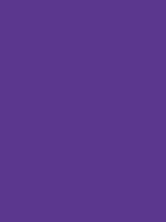 #5b388d color image