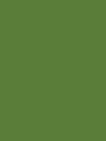 #5b7d3a color image