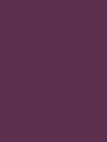 #5c304d color image