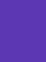 #5c37b3 color image