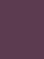 #5c3a4f color image