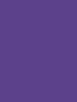 #5c418b color image