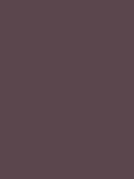 #5c464d color image