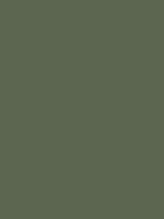 #5c6650 color image