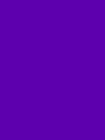 #5d00ae color image