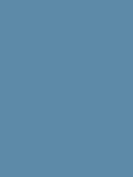 Air Force blue / #5d8aa8 hex color