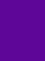 #5e0698 color image