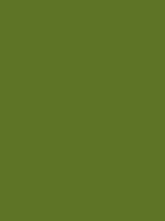 #5e7426 color image