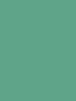 #5fa489 color image