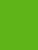 #61b51a color image