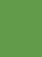 #629c4b color image