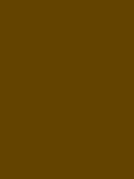 #634300 color image