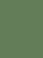 #637d59 color image
