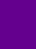 #64008e color image