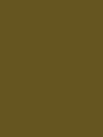 #655520 color image