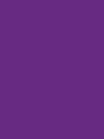 colorswall on X: Shades X11 color Dark Magenta #8B008B hex #7d007d,  #6f006f, #610061, #530053, #460046, #380038, #2a002a, #1c001c, #0e000e,  #000000 #colors #palette   /  X