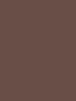 Medium taupe / #674c47 hex color