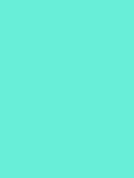 #68eed8 color image