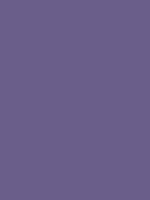 #6a5e8a color image