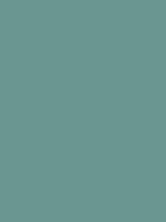 #6a9691 color image