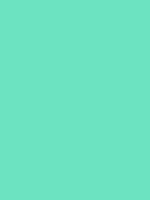 #6ce3c1 color image