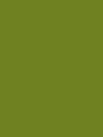 #6f8121 color image