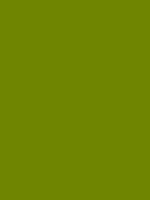 #6f8501 color image