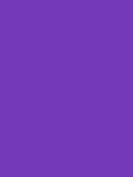 #7339b6 color image