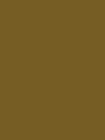#745e21 color image