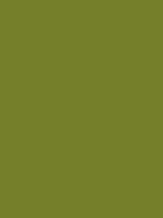 #757f2a color image