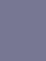 #777793 color image