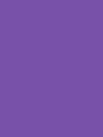 Royal Purple 7851a9 Hex Color - roblox color codes purple