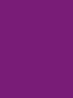 #791c77 color image