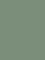 #7b8e7a color image