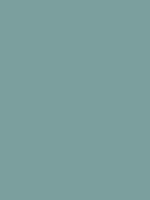 #7b9f9e color image