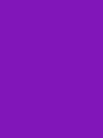 #8116b9 color image