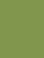 #81964d color image