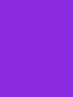 Blue violet / #8a2be2 hex color