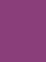 #8a3e7a color image