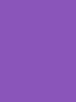 #8a55ba color image