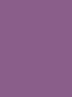 #8a5e8a color image